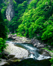 �S�{�색�C������