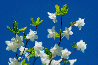 �V�����V�I�c�c�W