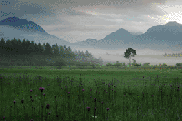 �m�A�U�~�Q���̏��c��K��