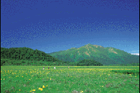 �L�X�Q�炭��������