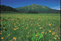 �L�X�Q�炭��������