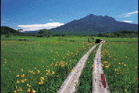 �L�X�Q�炭��������