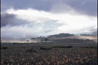 �L�X�Q�炭���������i���c��j