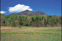 �����E�L���J�炭���������i���c��j