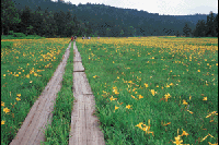 �������E��]�����̃L�X�Q��Q��