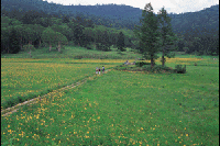 �������E��]�����̃L�X�Q��Q��