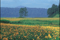 �������E��]�����̃L�X�Q��Q��