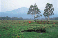 �����Q�c�c�W�炭���������i��c��j