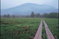 �����Q�c�c�W�炭���������i��c��j