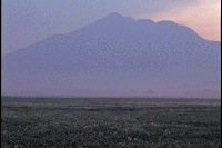 ���^�X�Q�i��c��j