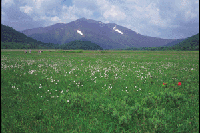 ���^�X�Q�̔�������