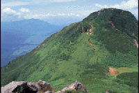 �׃O����莇���O���Ɣ�������