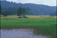 ������������]������]��