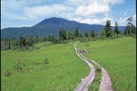 �����ѓ��E��c��i�X�Ύ����j