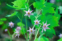 �g�K�N�V�V���E�}