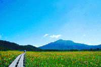 ���������̃j�b�R�E�L�X�Q