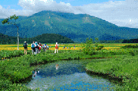 ���������̃j�b�R�E�L�X�Q