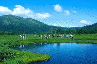 �Ă̔��������i��c��j