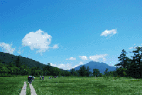 �Ă̔��������i��c��j