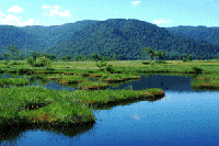 ���������̒r���i���c��j