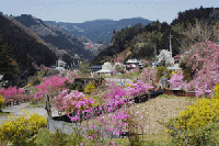 �O����
