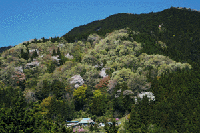 �O����