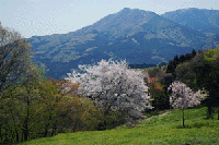 �O����