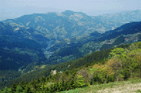 �O����