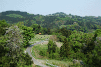 �O����