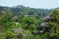 �O����