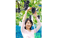 �񋏂̂Ԃǂ�