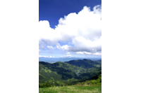 �t�̊O����